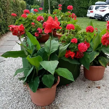 דירה Mit Pool Direkt Am Balatonmáriafürdő